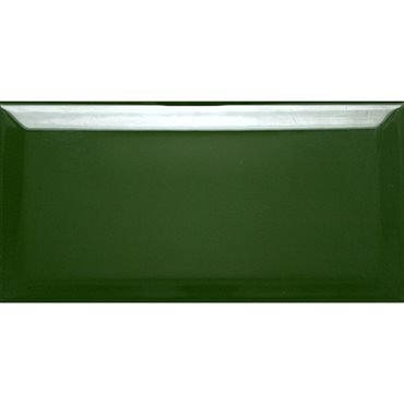 настенная плитка biselado botella brillo 10x20 Зеленый