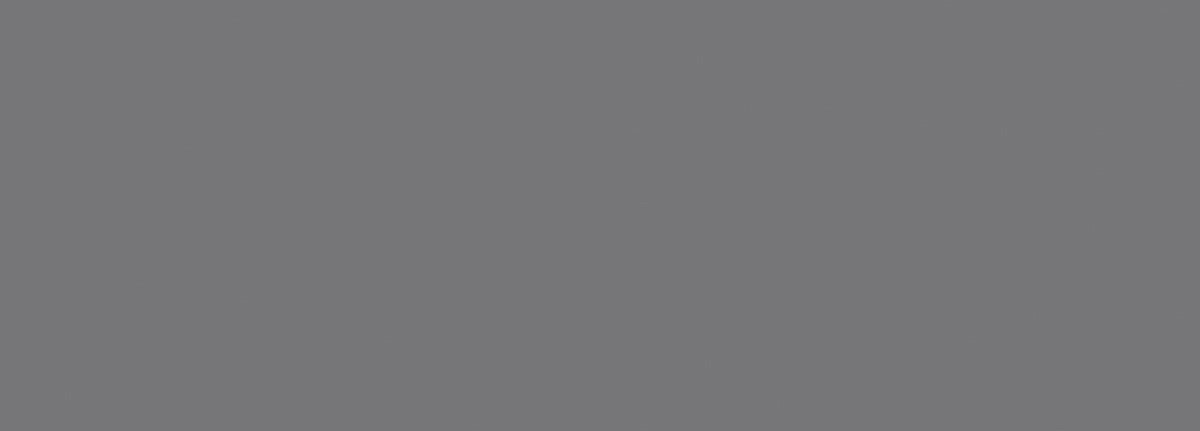 плитка настенная r 24,2*70,0  foresta  silver 