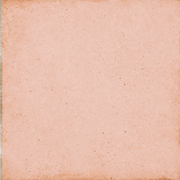 плитка керамическая напольная 24388 art nouveau coral pink 20х20 см Розовый
