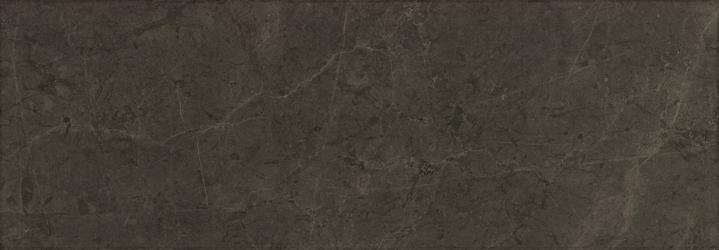 stonevision grafite rt плитка 32.5x97.7 Коричневый