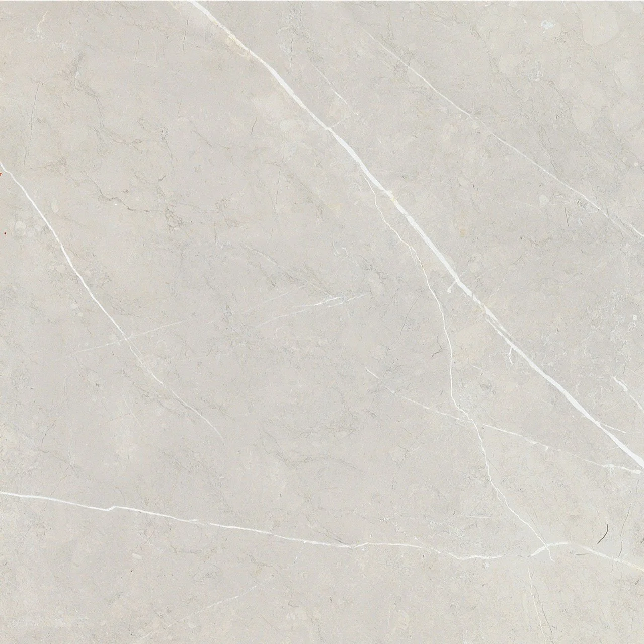 bright and shiny - bb6ntt9101p 60*60 полированный Cерый