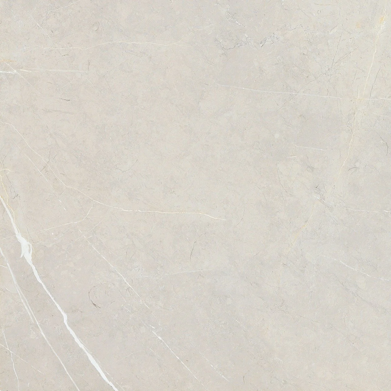 bright and shiny - bb6ntt9101p 60*60 полированный Cерый