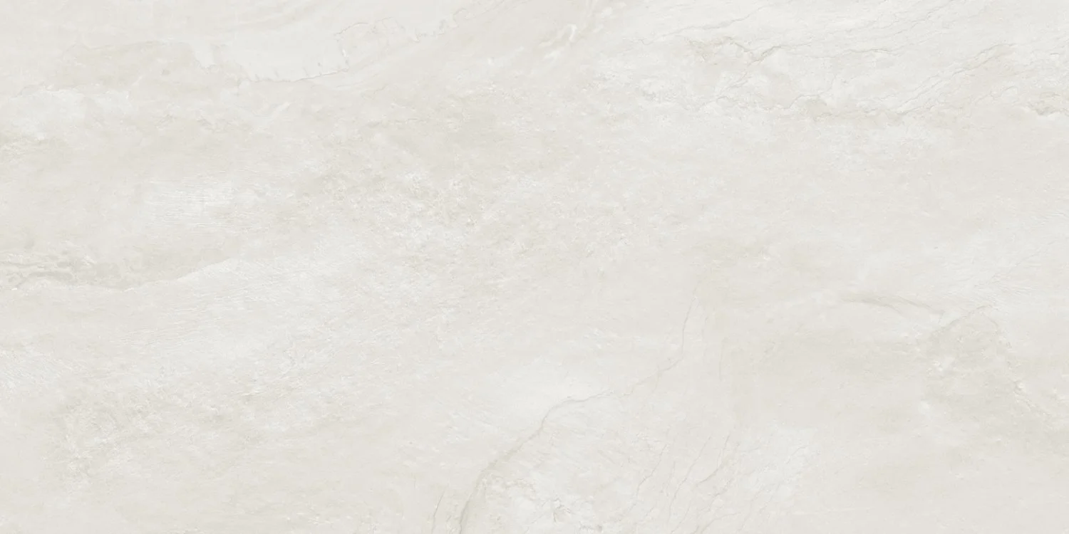 argenta gray 600x1200 12 лиц 