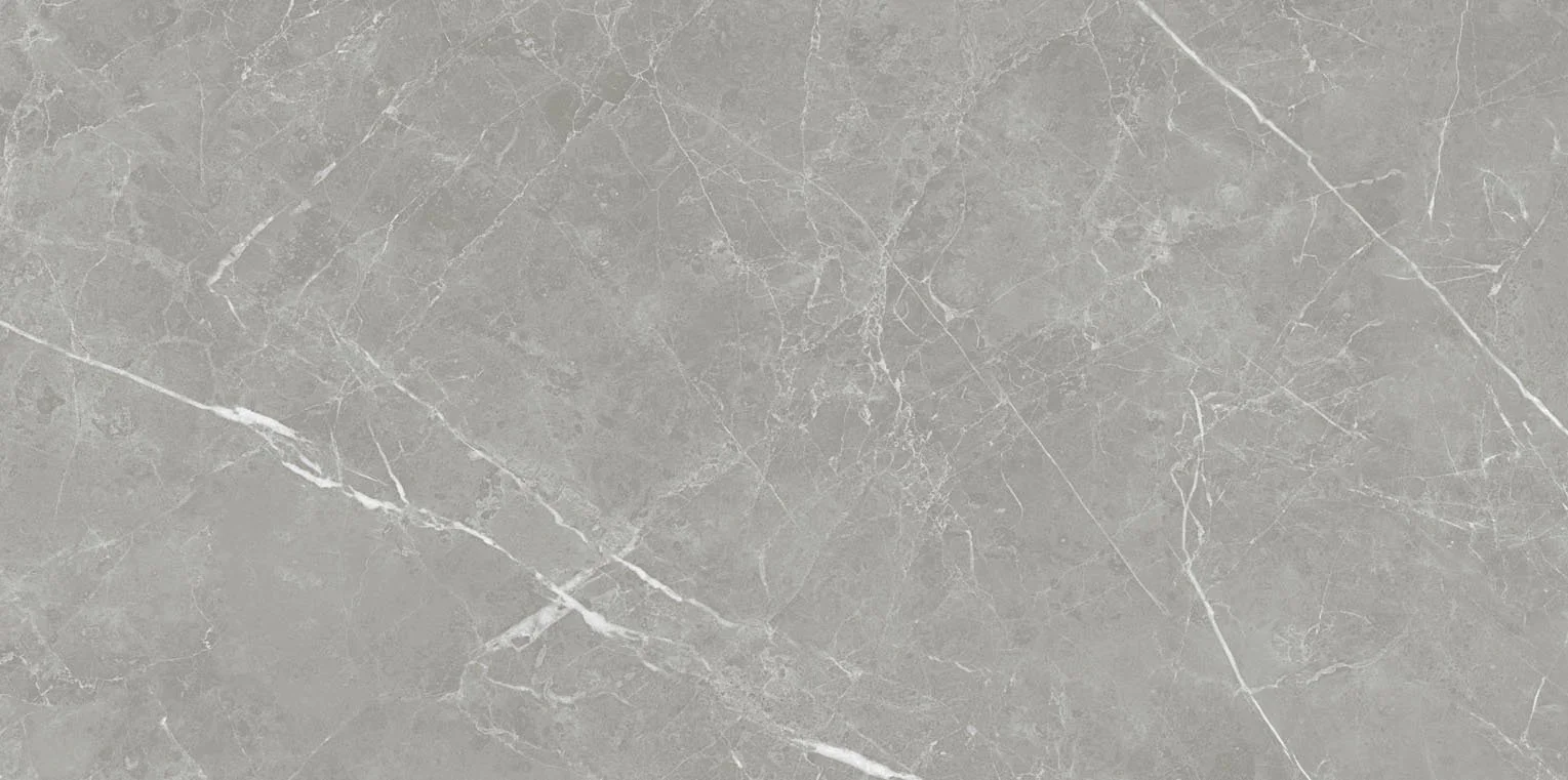 pietra - pt612ntt1102l 60*120 лаппато темный Cерый