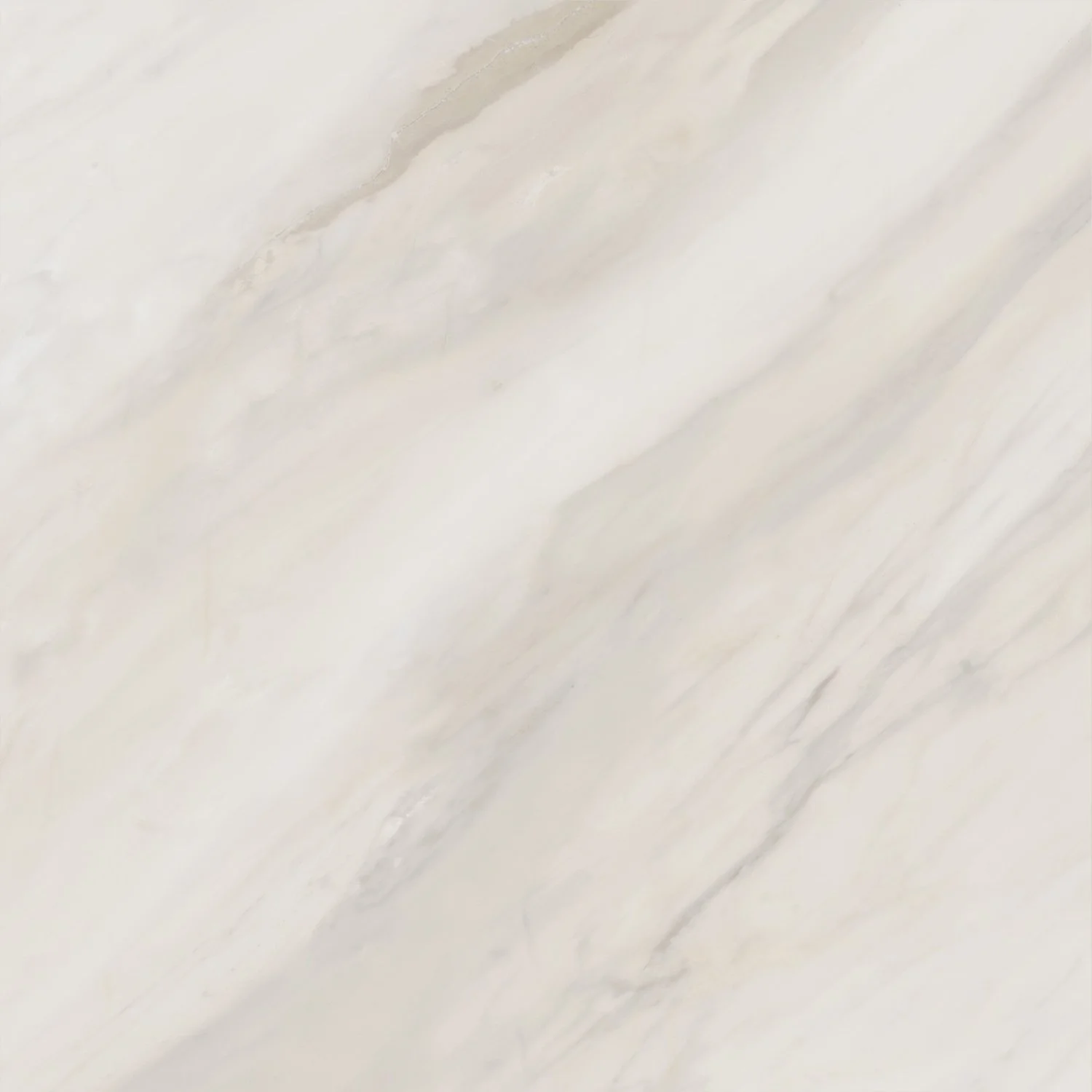 carolina crema 600x600 