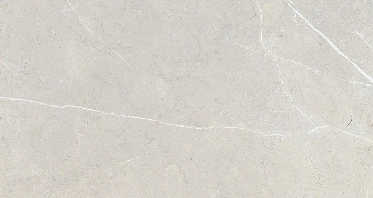 bright and shiny - bb612ntt9101p 60*120 полированный Cерый