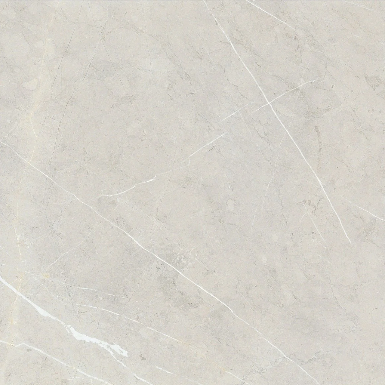 bright and shiny - bb6ntt9101p 60*60 полированный Cерый