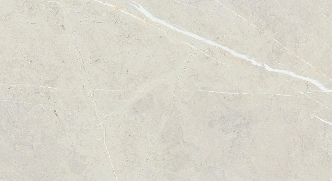 bright and shiny - bb612ntt9101p 60*120 полированный Cерый