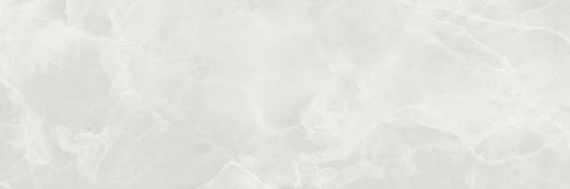 керамогранит exedra tiles glossy onyx extra 5.5 mm 100x300 Серый