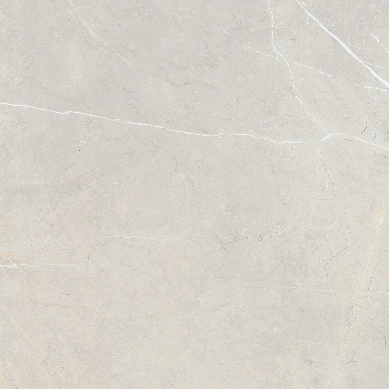 bright and shiny - bb6ntt9101p 60*60 полированный Cерый