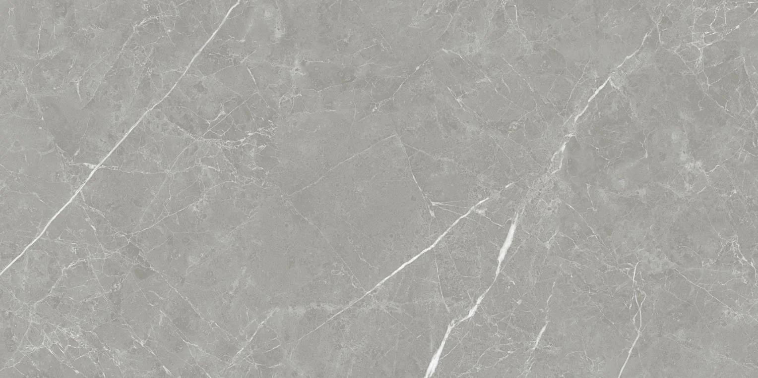 pietra - pt612ntt1102l 60*120 лаппато темный Cерый