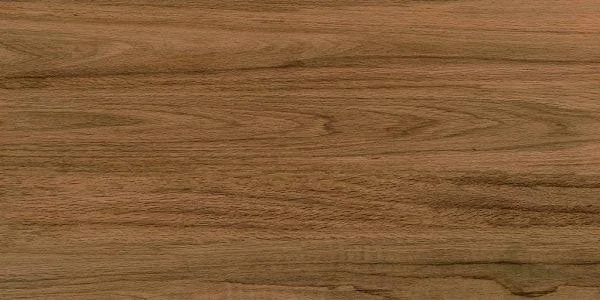 керамогранит greenwood elite 60*120  