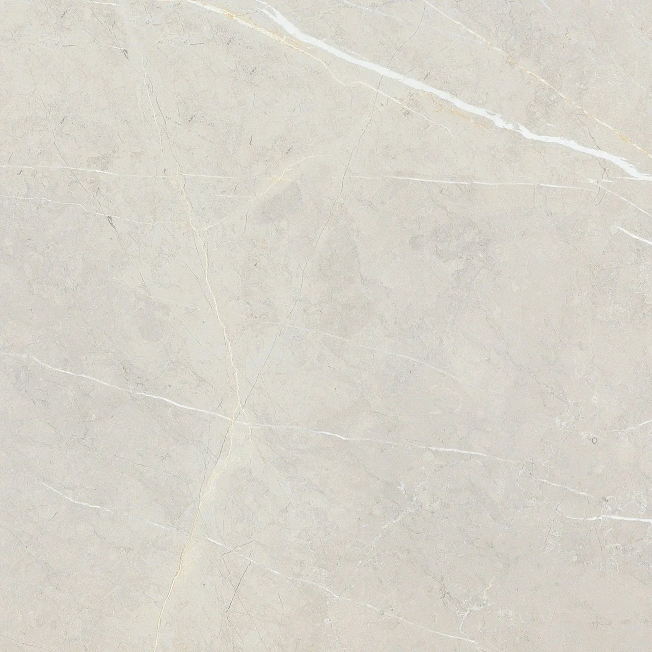 bright and shiny - bb6ntt9101p 60*60 полированный Cерый