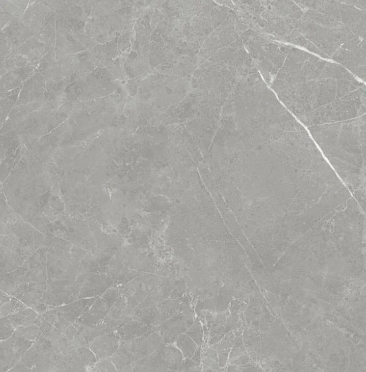 pietra - pt6ntt1102l 60*60 лаппатированный темный Cерый