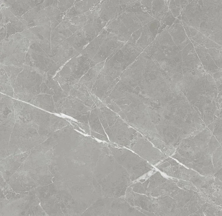 pietra - pt6ntt1102l 60*60 лаппатированный темный Cерый