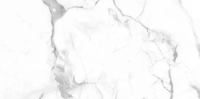 callacata endless - ntt99507p полированный Белый