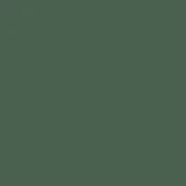 гранит керамический l4418-1ch green - loose 10х10 см Бирюзовый