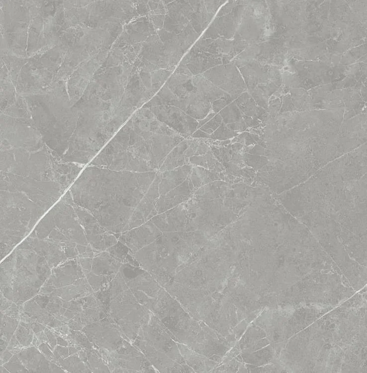 pietra - pt6ntt1102l 60*60 лаппатированный темный Cерый