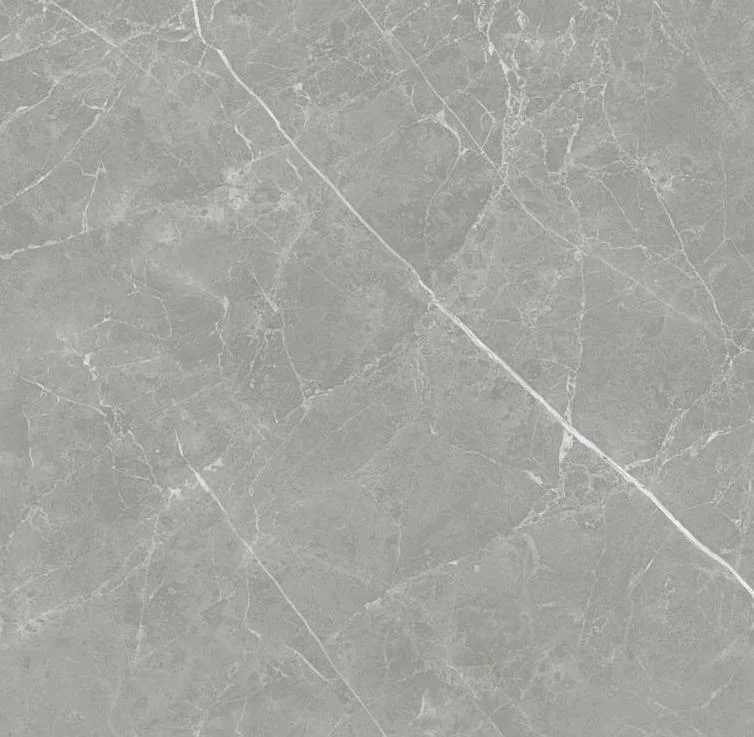 pietra - pt6ntt1102l 60*60 лаппатированный темный Cерый